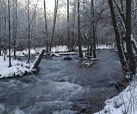 Saint-hubert