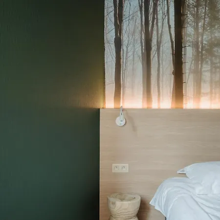 Отель Saint-hubert 3*